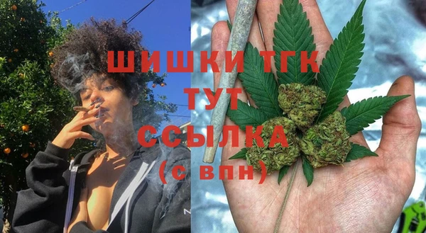 хмурый Дмитров