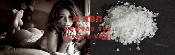 хмурый Дмитров