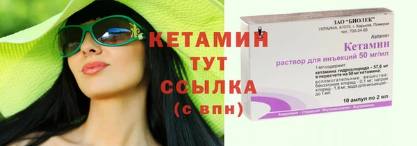 хмурый Дмитров