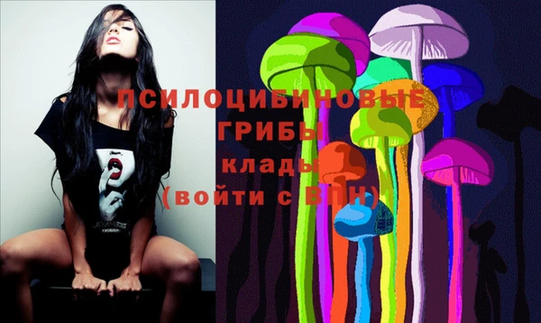 хмурый Дмитров