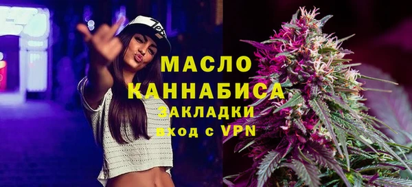 хмурый Дмитров