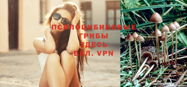 хмурый Дмитров