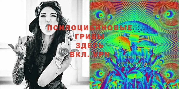 a pvp Дмитриев