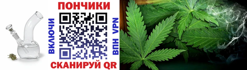 Бошки Шишки ГИДРОПОН  Черногорск 